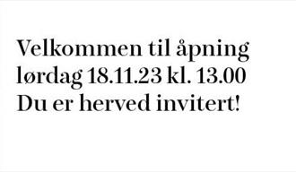 Jonny Andvik "JORD OG GULL"