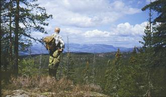 Vestmarka - SKIEN