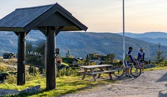 Lifjelltunet