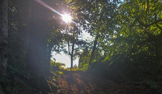 Guided jogging and running tour at the island Skåtøy