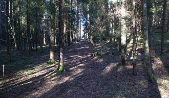 Tangvald Nature Reserve