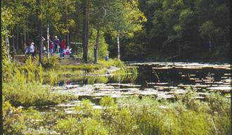 Solumsmarka