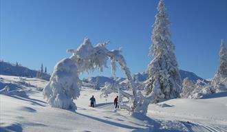 Hallbjønnsekken in winter