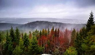 Fjerdingen