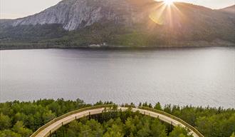 The view from the treetop trail in Hamaren.