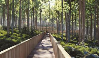 The tretopp walk at the Hamaren activity park