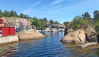 Cruise along the coast of Bamble