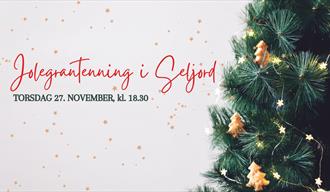 Jolegrantenning i Seljord