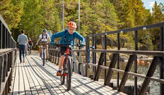 boy rides a bike over a bridge