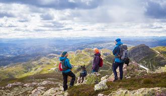 group of hikers with dog on trip to mount Skorve
