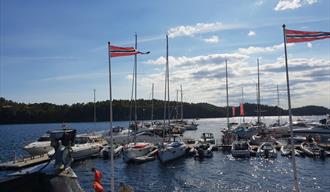 Valle Guest harbor