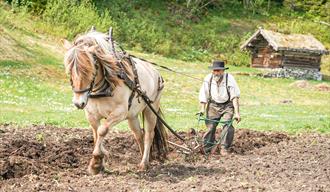 The Museum Farmer