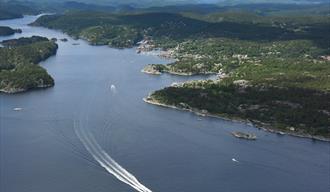 Diving in the Åbyfjord