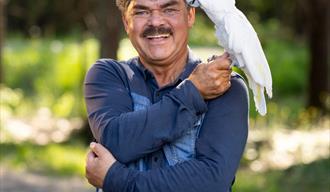 TRYLLESHOW MED DAVIDO