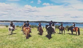 Horseback riding tours - Jomfruland