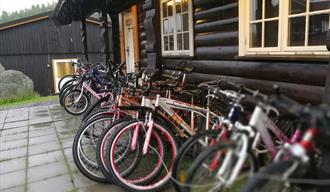 Cykling in Rauland