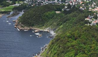 Diving in the Rognsfjord