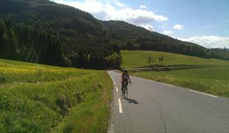 cycling in the Greenland area