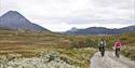 If you cycle back from Kalhovd/Mårbu to Gvepseborg you will have a nice view towards Gaustatoppen.