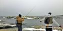 Sea Trout Fishing in Winter