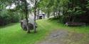 path to the Smørklepp art museum