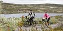 Cycling along Kalhovdfjorden