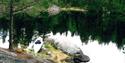 Kayak lying on land