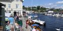 city life by the pier in Brevik
