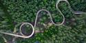 drone image of the tree top walk in Hamaren