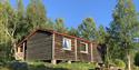Cabin Birtehytta