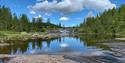 great nature with water and forest in Birtedalen