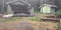 Grillcabin, and fireplace. Located nearby the coastal path and the path that goes up to Svarttjenn.