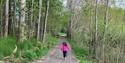 Nice trail for running