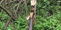 Wooden troll