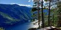 rest area with great views along the Tveitgrend trail