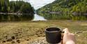 view from Glamping tent at Busnes Alpakka Glamping