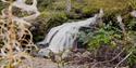 waterfall near Telemark Yoga