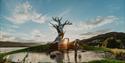 the art installation "TREE" at Notodden