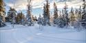 cross-country trails at Blefjell