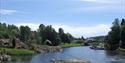 Island Løvøya