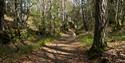 Trail, Skåtøy
