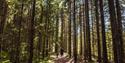 man with dog in the forest in Skien leisure park