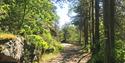 Skotfoss trail in Skien