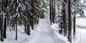 The path around Tinnemyra is plowed in winter