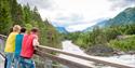 boys stand on a bridge and look over the water