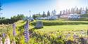 the motorhome parking at Groven Camping & Hyttegrend