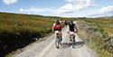 During Helterittet you cycle on parts of Hardangervidda national park