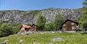 Kvipt Guest House