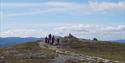 group at the top of Falkeriset