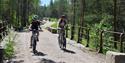 2 cyclists cycle on the cycle path "old Treungenbanen"